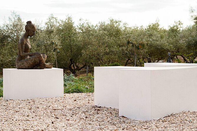 Guided tour Museum of Contemporary Art and Sculpture Park - Who will enjoy the sculpture park most?