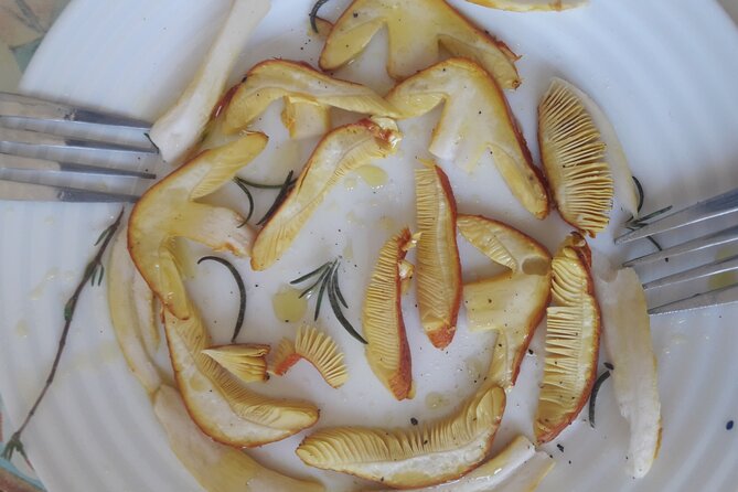 Half Day Gastronomic Wild Walk in Girona - From Girona’s Cathedral Quarter to Font del Ferro
