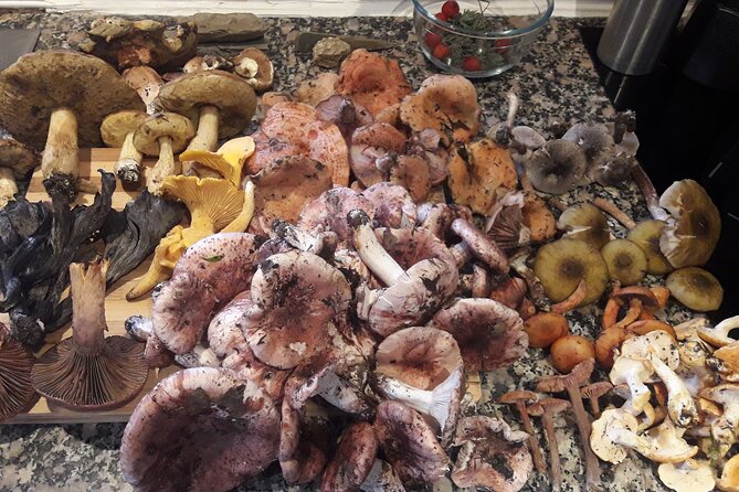 Half Day Gastronomic Wild Walk in Girona - A Wild Tapa at the End