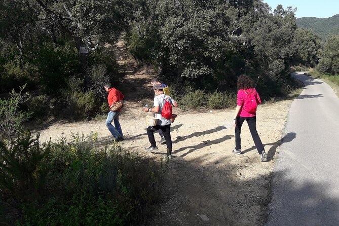 Half Day Gastronomic Wild Walk in Girona - What the Group Size Means for You