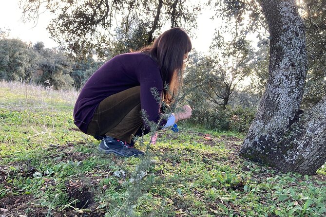 Half Day Gastronomic Wild Walk in Girona - Plants, Mushrooms, and the Forest’s Edible Side
