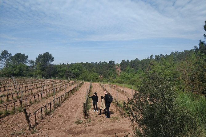 Half Day Private Wine & Oil Tasting Tour near Barcelona with hotel pick up - Food, buying products, and dietary needs
