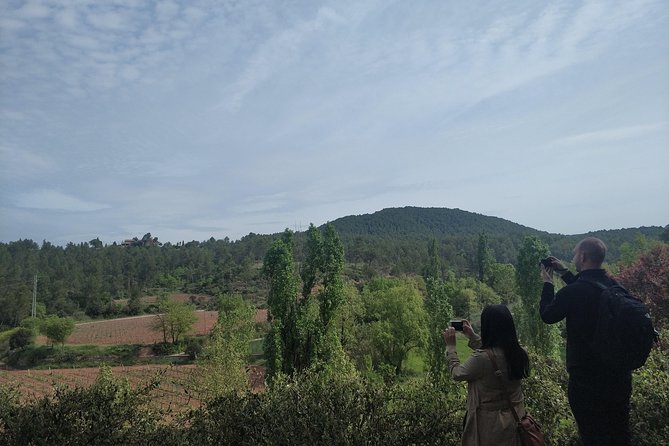 Half Day Private Wine & Oil Tasting Tour near Barcelona with hotel pick up - Booking, weather, and cancellation details
