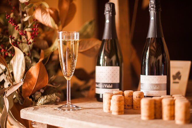 High-End Vineyard Escape: Cava, Tapas & Wine | Private Tour - What the wine tasting is really like