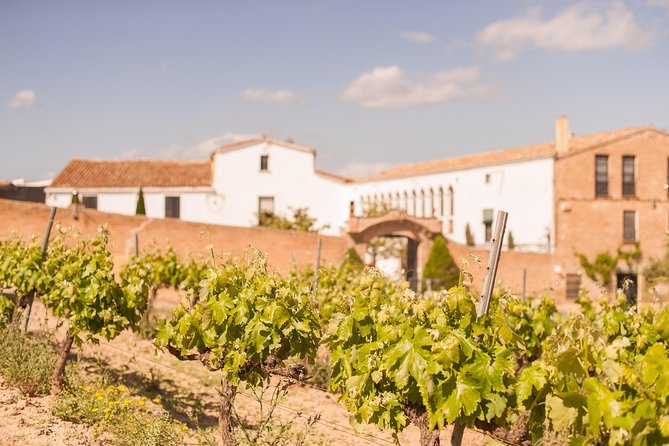 High-End Vineyard Escape: Cava, Tapas & Wine | Private Tour - How private touring changes the day