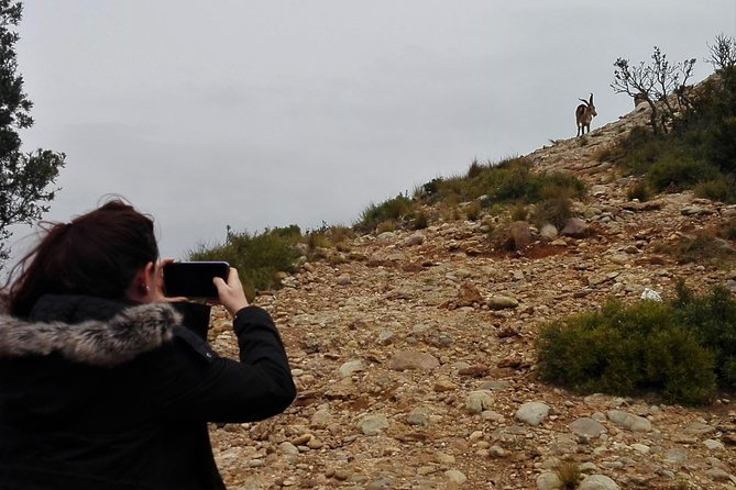 Historical Montserrat Half-Day Hiking Tour from Barcelona - Transport, timing, and the end of the morning