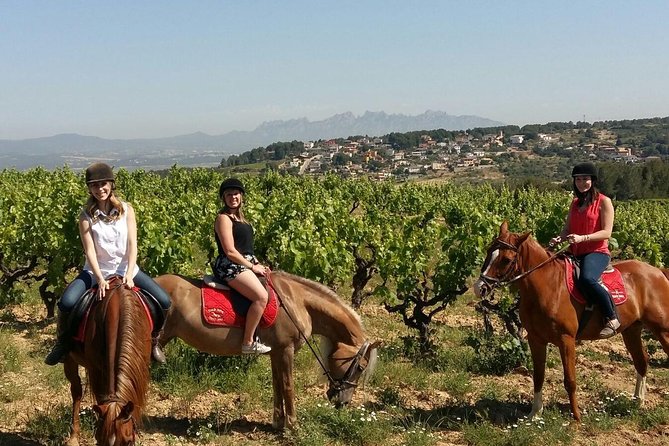 Horseback Ride, Penedes, Wine Tasting & Tapas Private Tour - Key points at a glance