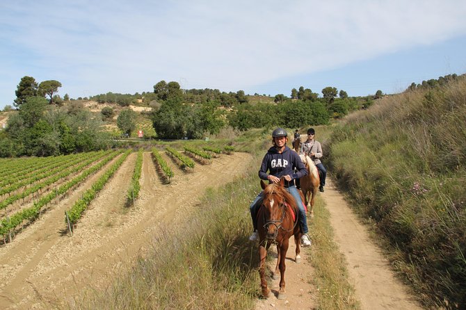 Horseback Ride, Penedes, Wine Tasting & Tapas Private Tour - From Barcelona to the Penedès vineyards