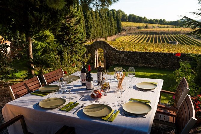 Horseback Ride, Penedes, Wine Tasting & Tapas Private Tour - What to expect at Parés Baltà