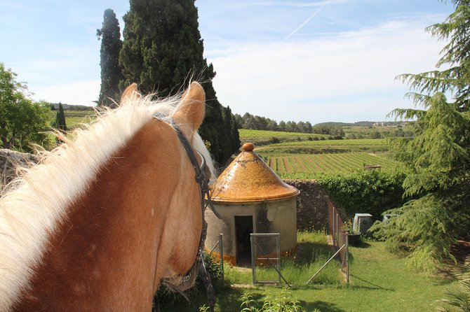 Horseback Ride, Penedes, Wine Tasting & Tapas Private Tour - Practical planning before you book