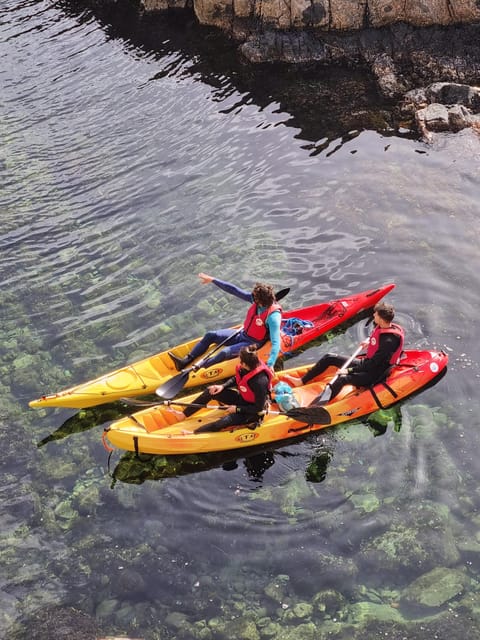 Kayak and snorkel Tour Platja d'Aro - Why this stretch of Costa Brava works so well by kayak