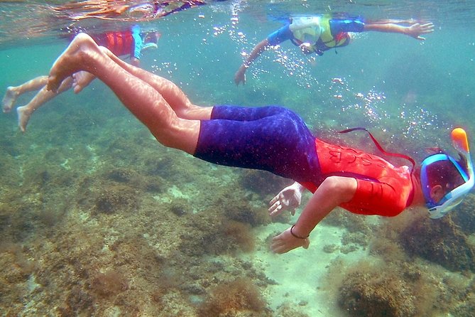 Kayak excursion in Playa de Aro - Meeting point, timing, and what to bring