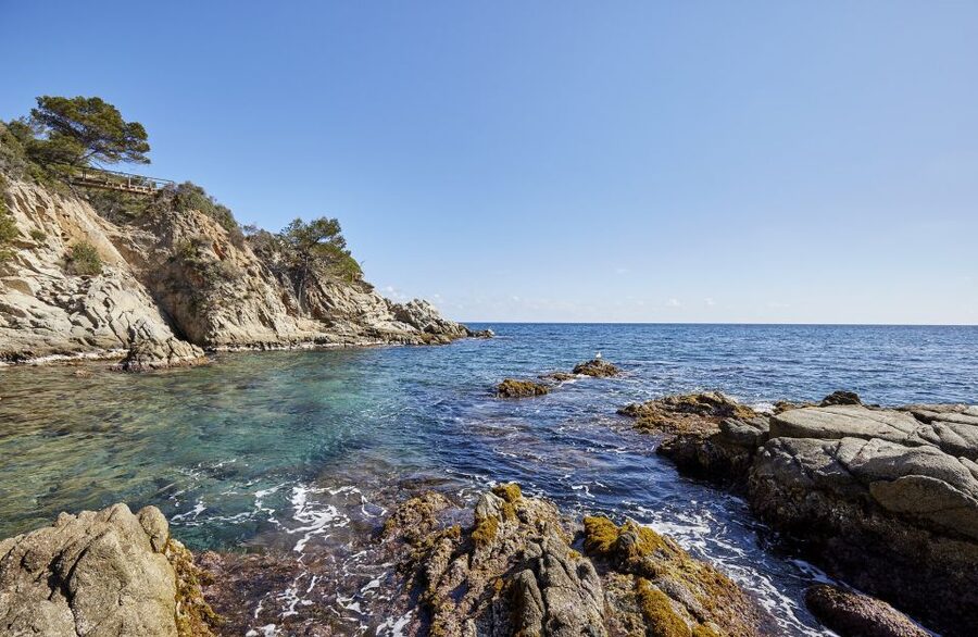 Lloret de Mar: Costa Brava Kayak Tour and Swimming - Fenals to S’Agulla, a close look at the Costa Brava shore