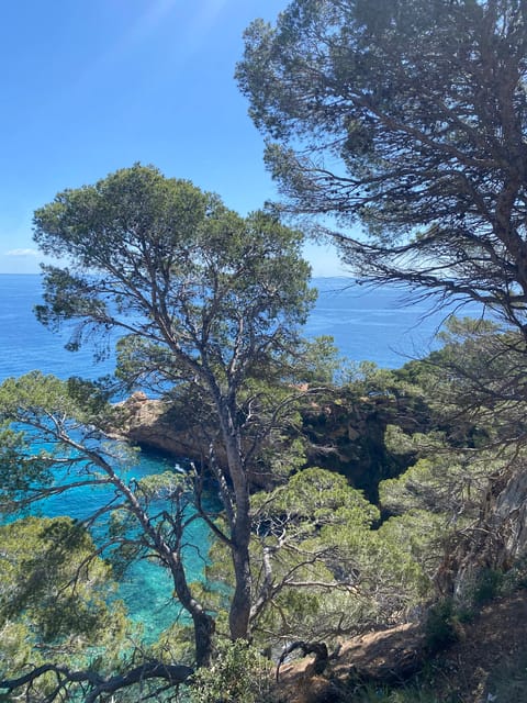 Lloret de Mar: Guided Sightseeing Tour in a 4x4 Vehicle - Who will enjoy the ride most
