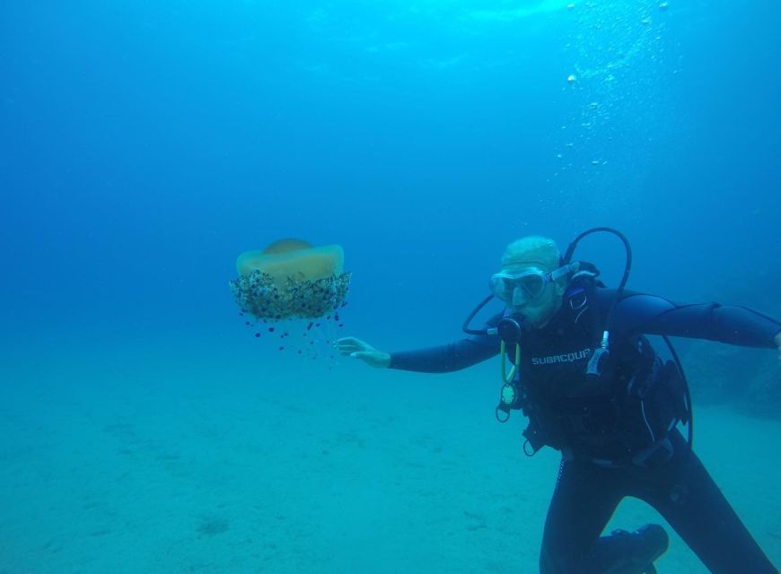 Lloret de Mar: Scuba Diving Experience no License Required - Starting at Dolphins Diving Center in Lloret de Mar