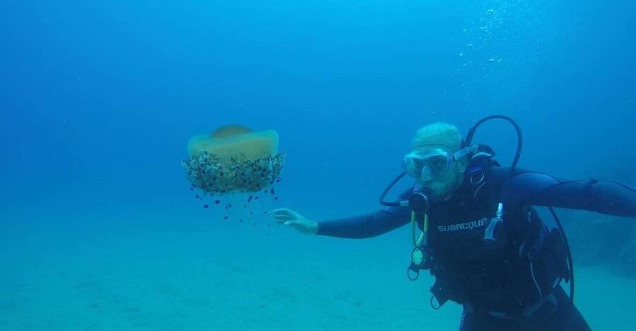 Lloret de Mar: Scuba Diving Experience no License Required - Getting your first breaths in the calm bay