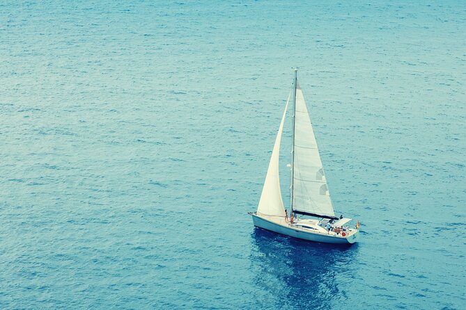 Luxury Private Yacht Sailing Tours in Barcelona - The swimming stop and chance of marine life