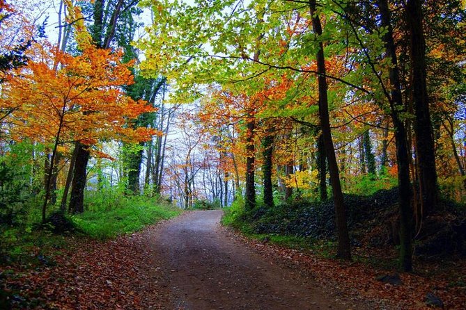 Medieval Villages & La Garrotxa Volcanic Zone Hiking. Small Group Tour - Medieval Besalú after the trail