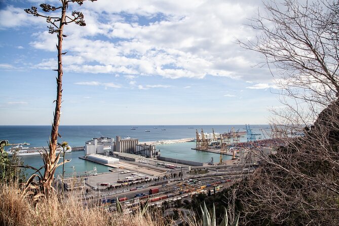 Montjuïc Walking Tour With Optional Flamenco Show - Tiered waterfalls at the Alcalde viewpoint gardens
