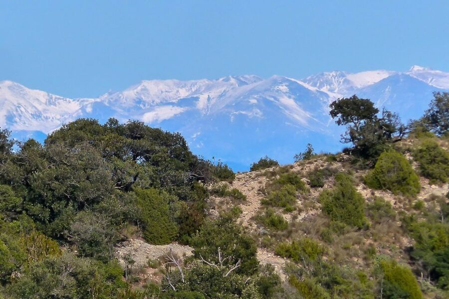 Montserrat: 6-Hour Tour with a Choice of 3 Levels of Hiking - Choosing one of the three hiking levels