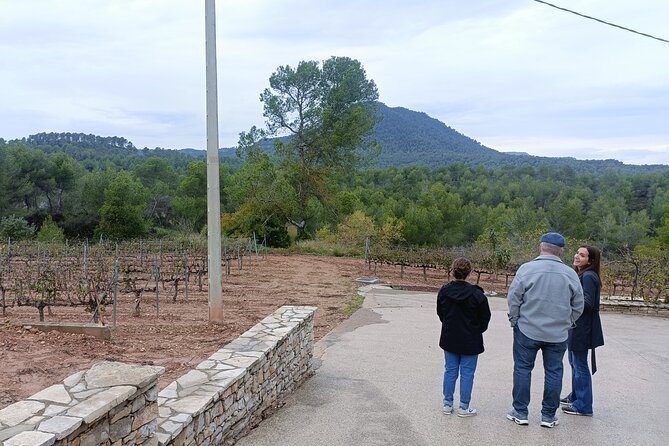 Montserrat & beyond private tour with pickup, tickets & options - What the private format changes