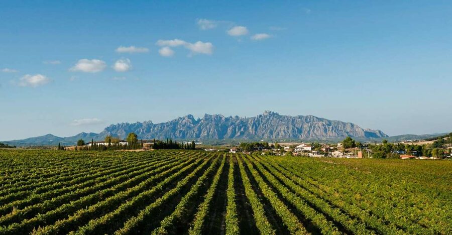 Montserrat & Cava Wineries Day Trip from Barcelona w/ Pickup - How to use your free time on the mountain