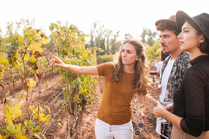 Montserrat & Cogwheel Train, Gourmet Wine Tasting & Tapas/Lunch - Price, group size, and overall value