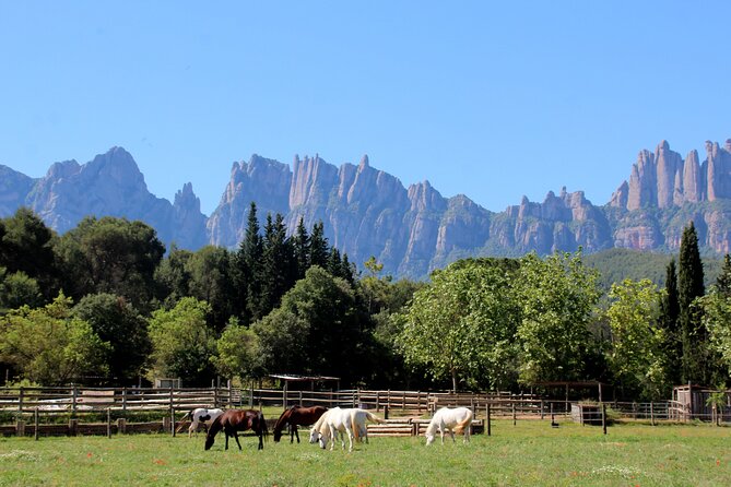 Montserrat Horseback Riding & Monastery – Small Group (Max 8) - Why this Montserrat trip feels different
