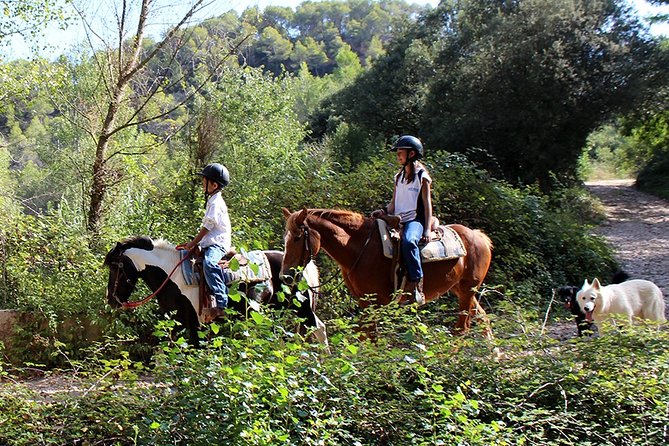 Montserrat Horseback Riding & Monastery – Small Group (Max 8) - The small van and the return to Barcelona