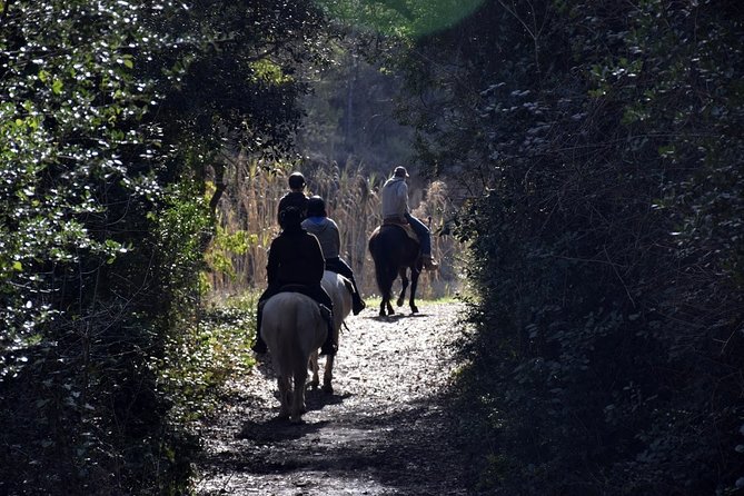 Montserrat Horseback Riding & Monastery – Small Group (Max 8) - Is $118.94 a fair price?