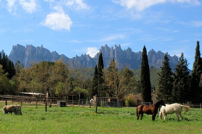 Montserrat Horseback Riding & Monastery – Small Group (Max 8) - Booking advice for a smoother morning