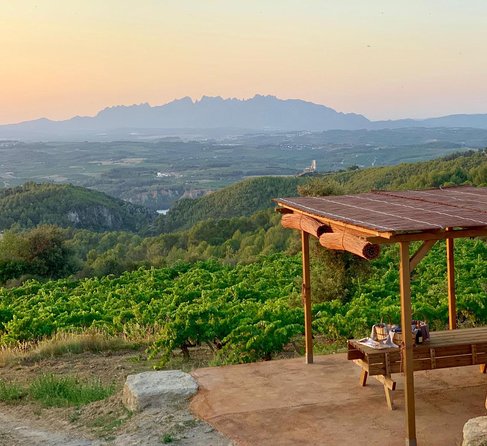 Montserrat Private Day Trip with Codorniu Cava Cellar Tasting - Montserrat Mountain and the Sant Miquel Cross