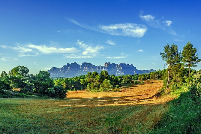 Montserrat Private Tour with Hotel pick-up from Barcelona - The basilica and the Black Madonna
