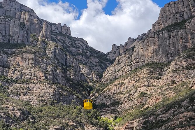 Montserrat Tour by Train with Cable Car and Cogwheel - Who Should Book This Experience