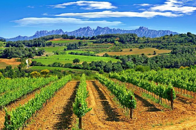 Montserrat,Vineyard, Wine Tasting Small Group Tour & Hotel Pickup - The Montserrat Museum and other optional stops