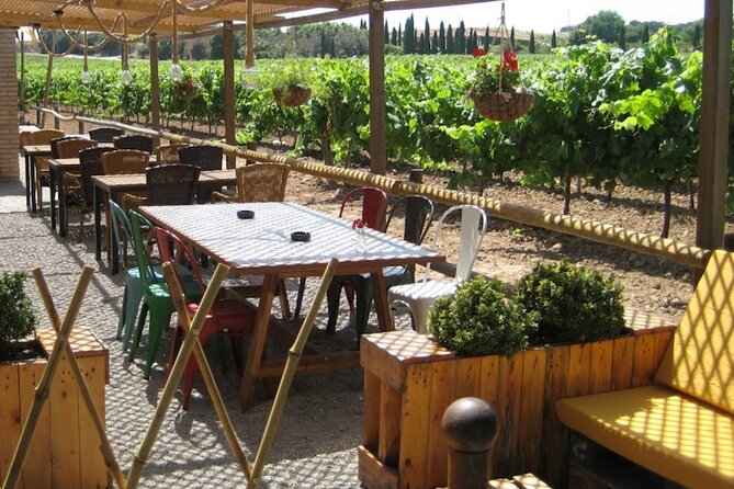 Montserrat & Winery Visit Tour with Traditional Farmhouse Lunch - Why Montserrat makes a strong first stop