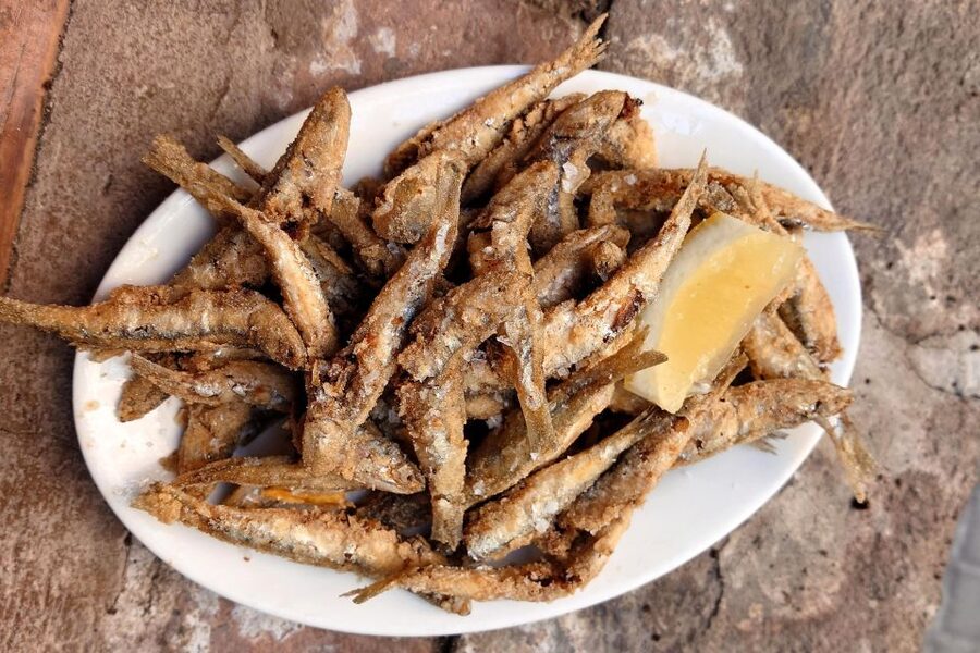 No Diet Club - Unique local food in Barcelona - Who will enjoy this Barcelona food walk?