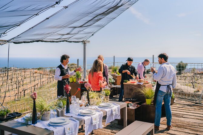 Paella Cooking Experience & Winery Tour from Barcelona - What $89 really covers