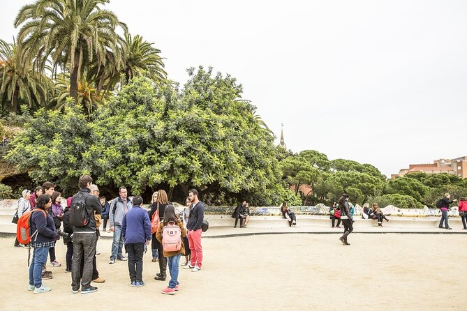 Park Guell Guided Tour with Skip the line Ticket - Viaducts, paths, and Gaudí’s natural forms