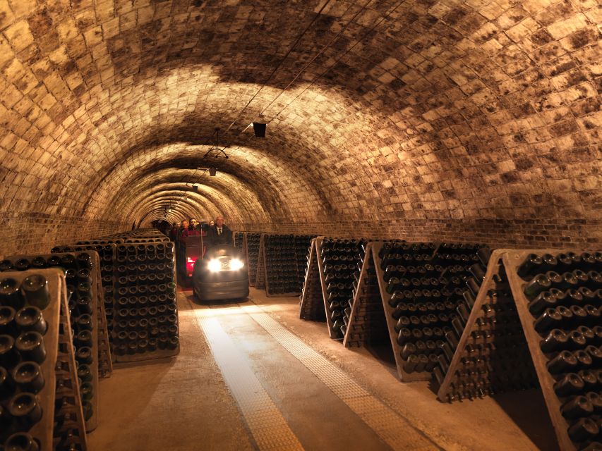 Penedès: Discovery Tour with Cava Tasting - The 20-meter descent into the cellars