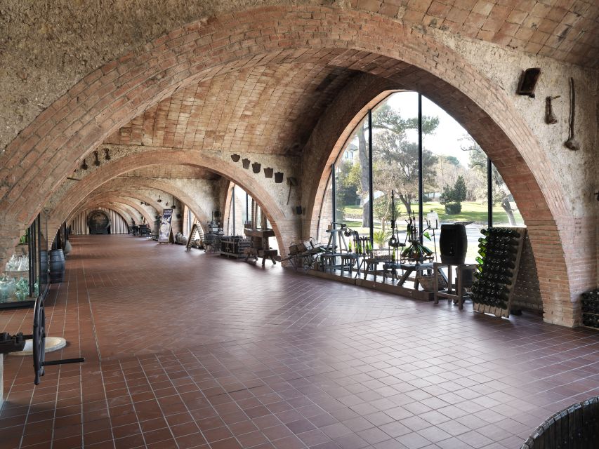 Penedès: Discovery Tour with Cava Tasting - Practical details that affect the experience