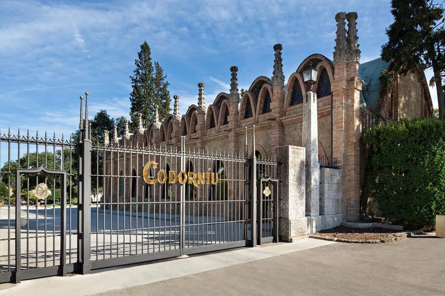 Penedès: Discovery Tour with Cava Tasting - Starting in Sala Puig, the Cathedral of Cava