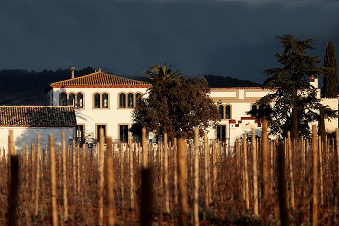 Penedes Wine & Cava Tasting & 4WD Vineyards Tour from Barcelona - Should you book the Penedes wine and cava tour?