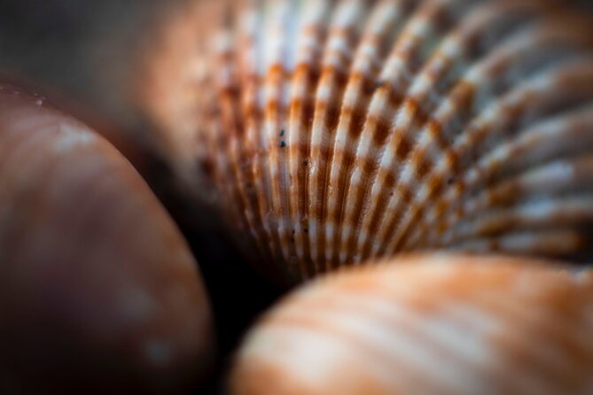 Photo Walking Tour Sitges Experience Beaches and Town - Hotel Noucentista and the Illa de Cuba