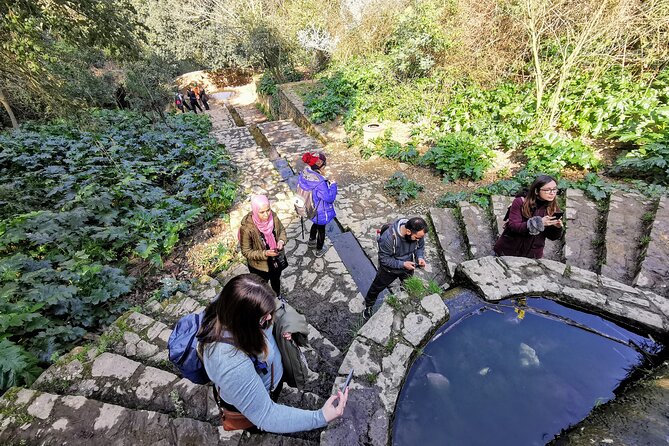 Photography route through the secret nature of Barcelona - How Emili’s approach shapes the morning