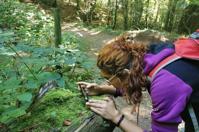 Photography route through the secret nature of Barcelona - Who should book this photography route