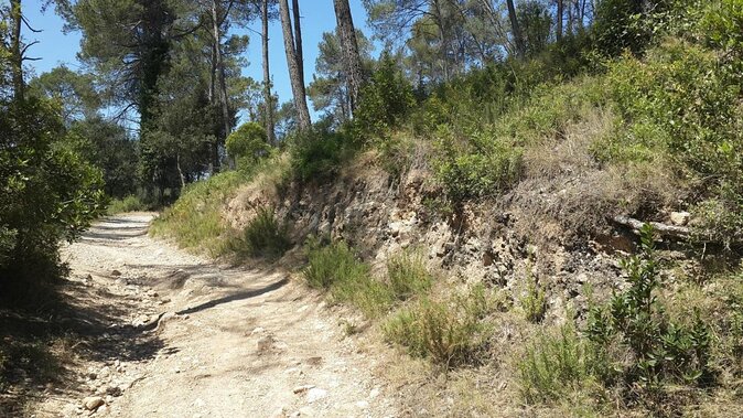 Photography route through the secret nature of Barcelona - Collserola’s forest and city contrasts