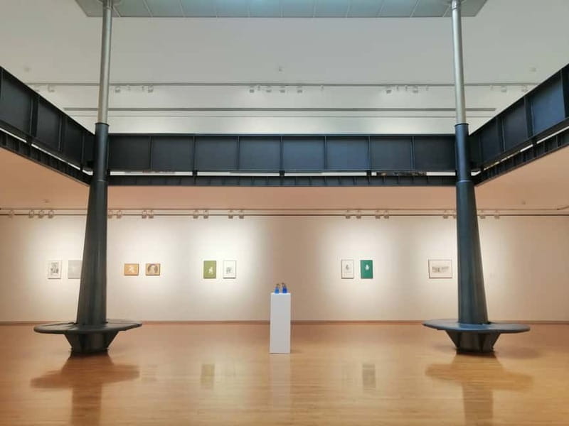 Picasso Museum and Walking Tour Plus Wine Tasting Upgrade - Key points to know before booking