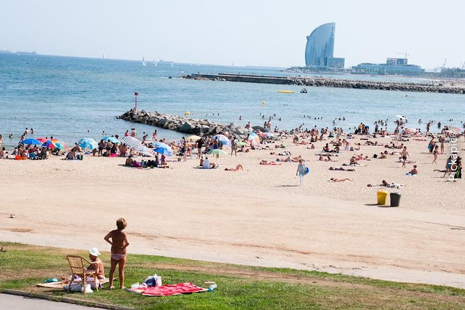 Picasso's Barcelona on Electric Bike Small Group Tour - Ciutadella Park and the Picasso connection
