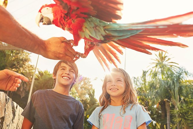 PortAventura Park Day Trip from Barcelona - Key points to know before you book